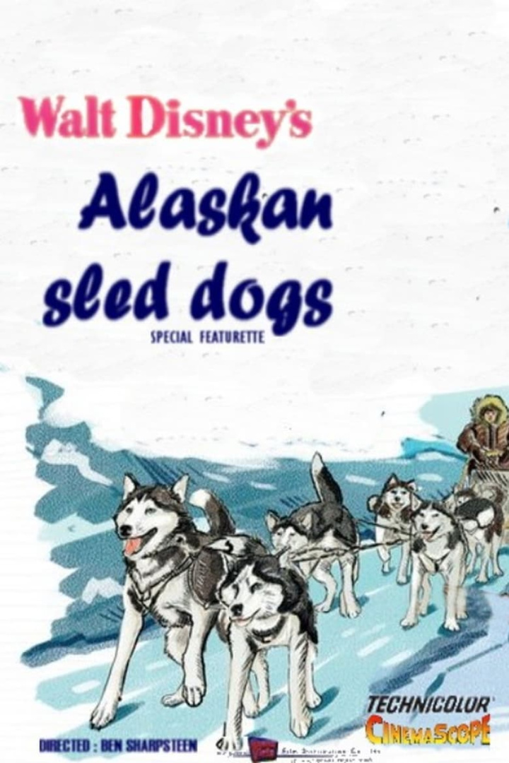Alaskan Sled Dog i gruppen Alla filmer / Documentary hos Mohamad shop (641679)
