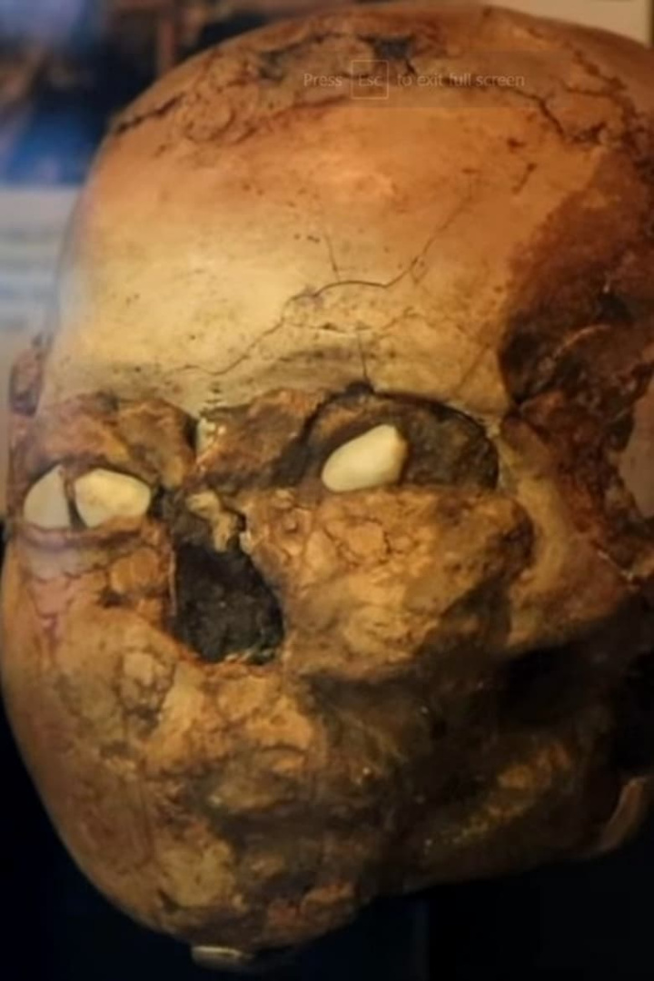 Jericho: The First City on Earth? i gruppen Alla filmer / History hos Mohamad shop (641853)