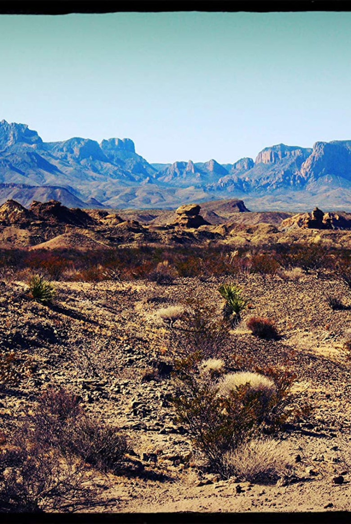 Wolves Inside i gruppen Alla filmer / Western hos Mohamad shop (641887)