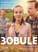 3Bobule
