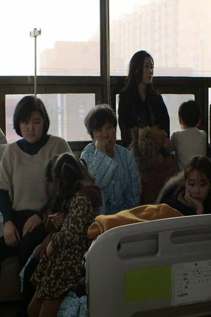 Birds Fly Back to the Nest i gruppen Alla filmer / Drama hos Mohamad shop (642904)