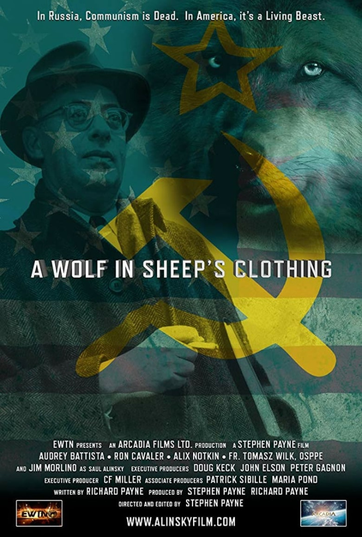 A Wolf in Sheep\'s Clothing i gruppen Alla filmer hos Mohamad shop (643338)