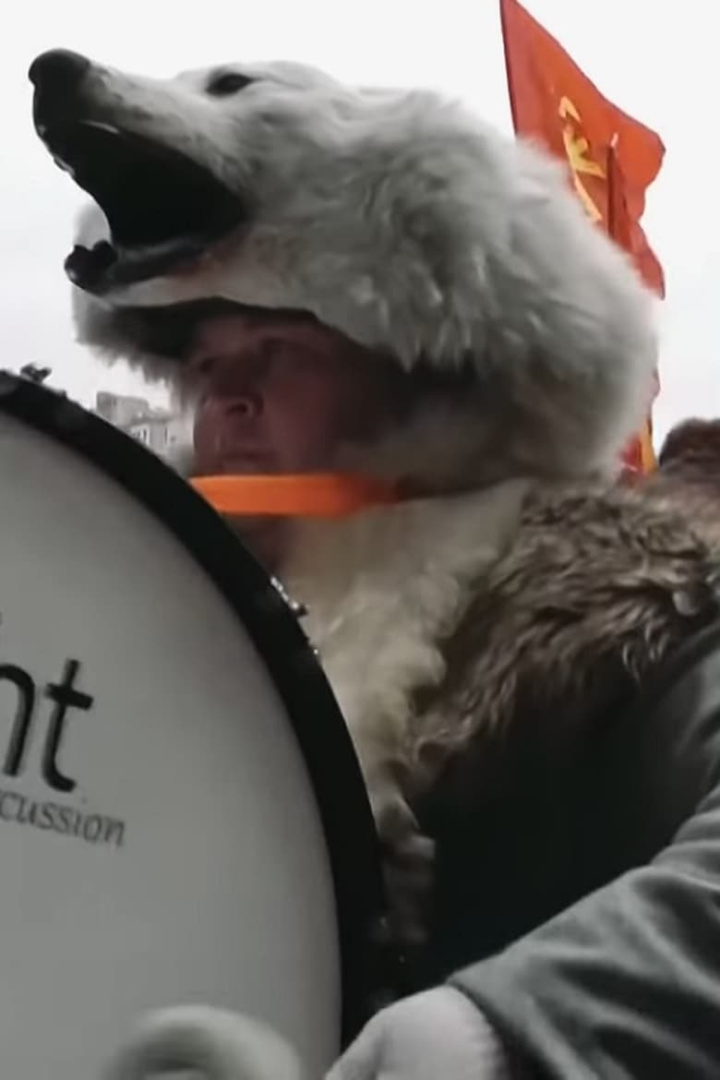 National-shkolota i gruppen Alla filmer / Documentary hos Mohamad shop (643703)