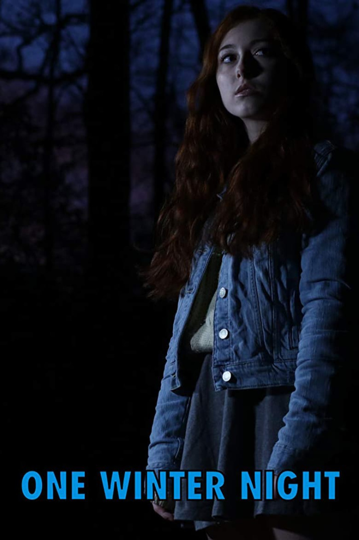 One Winter Night i gruppen Drama hos Mohamad shop (644009)