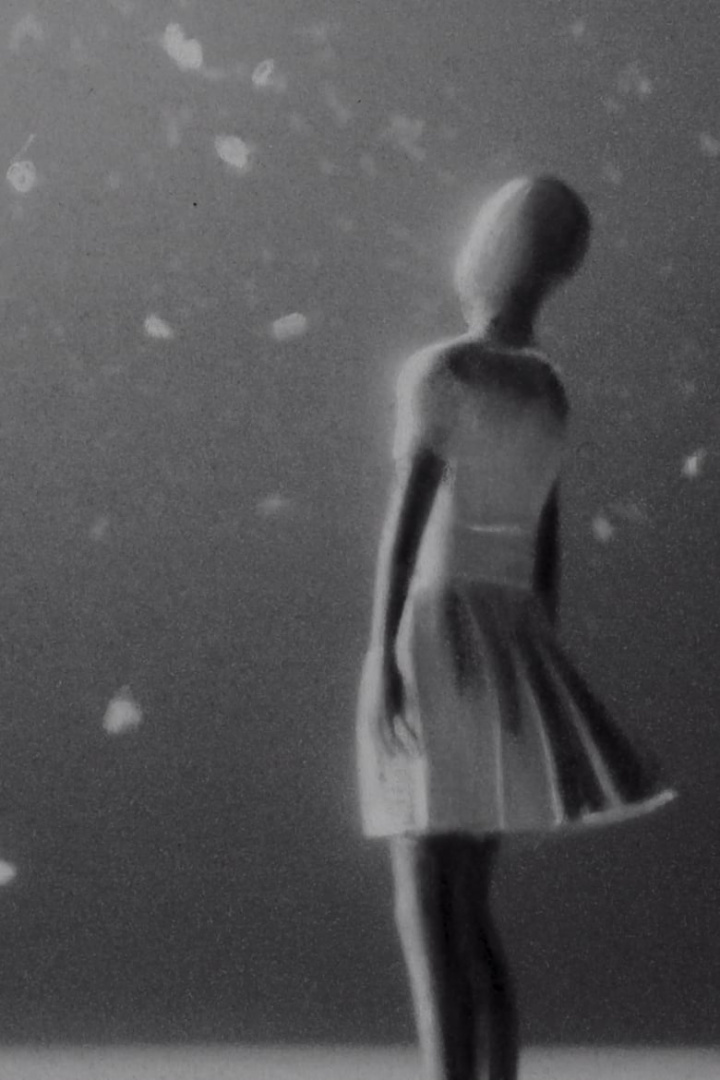 Last I Heard (…He Was Circling The Drain) i gruppen Alla filmer / Animation hos Mohamad shop (644057)