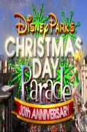Disney Parks Christmas Day Parade