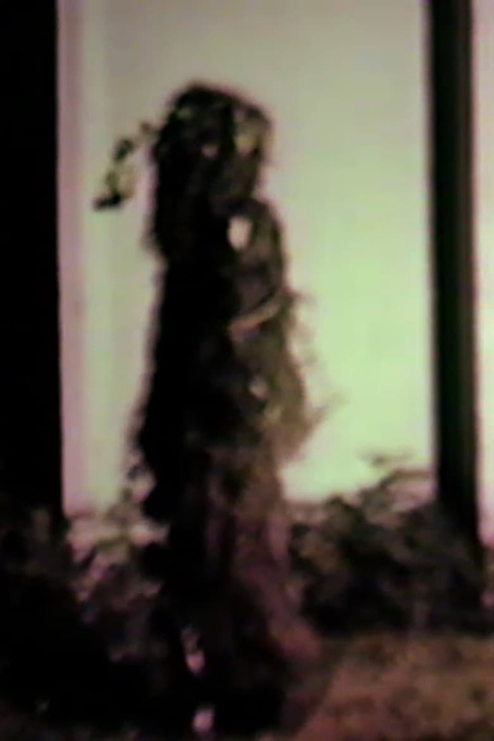 Bramble On i gruppen Alla filmer hos Mohamad shop (644665)