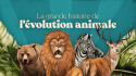 La grande histoire de l\'évolution animale