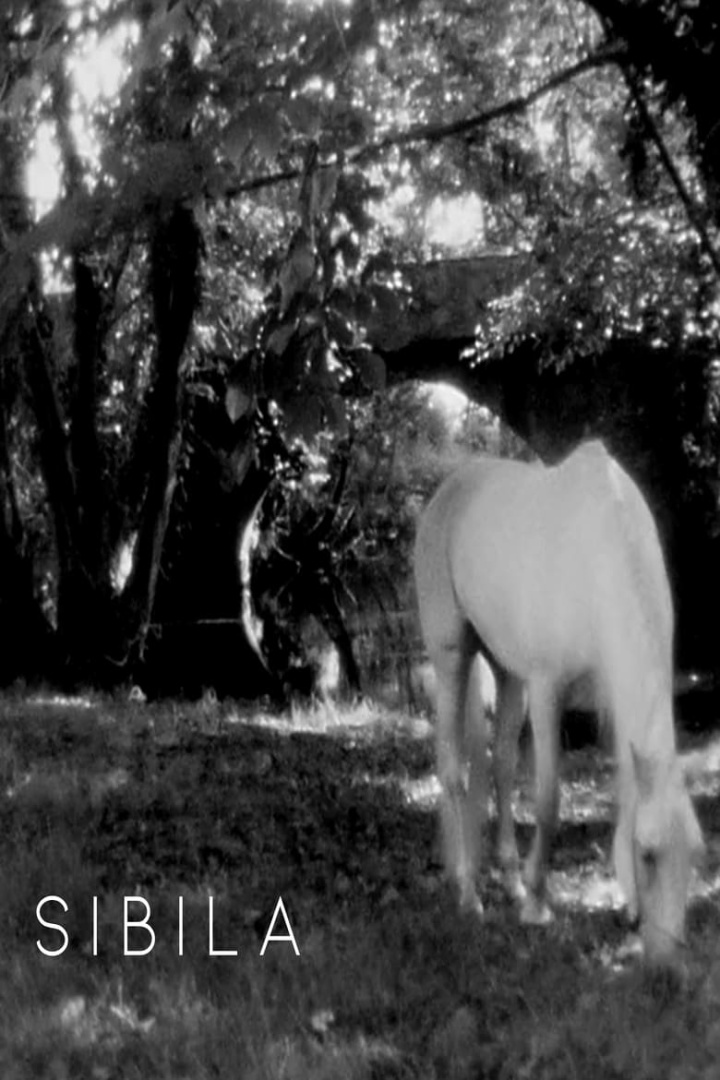 Sibila i gruppen Alla filmer / History hos Mohamad shop (644863)