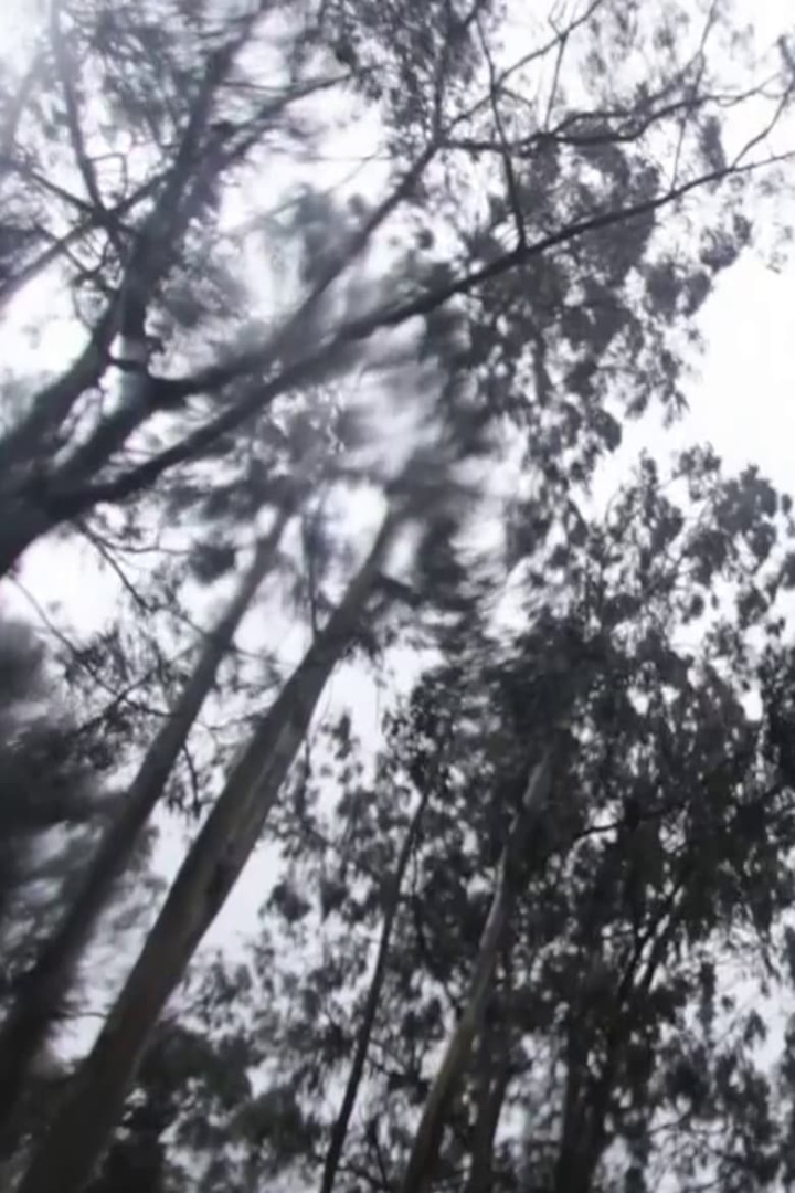 2014 i gruppen Alla filmer hos Mohamad shop (644866)