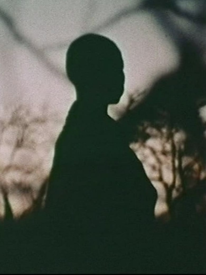 Nawi i gruppen Alla filmer hos Mohamad shop (645706)