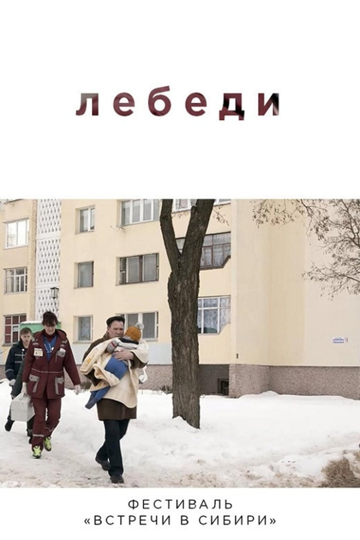 Swans i gruppen Alla filmer / Documentary hos Mohamad shop (646223)