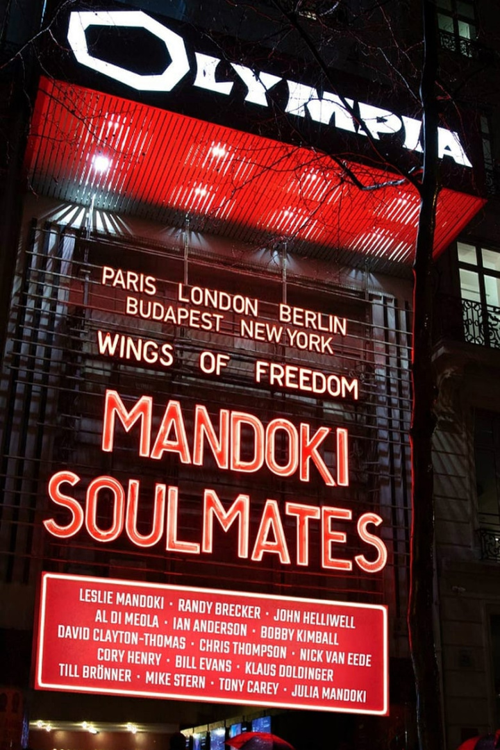 ManDoki Soulmates: Wings Of Freedom i gruppen Alla filmer / Music hos Mohamad shop (646501)