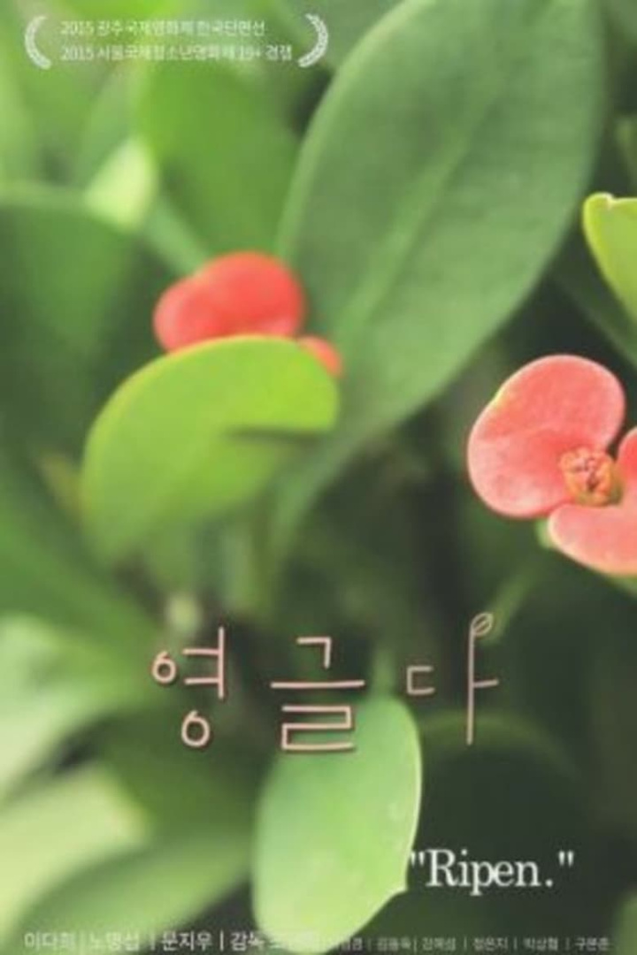 Ripen i gruppen Alla filmer / Drama hos Mohamad shop (647199)