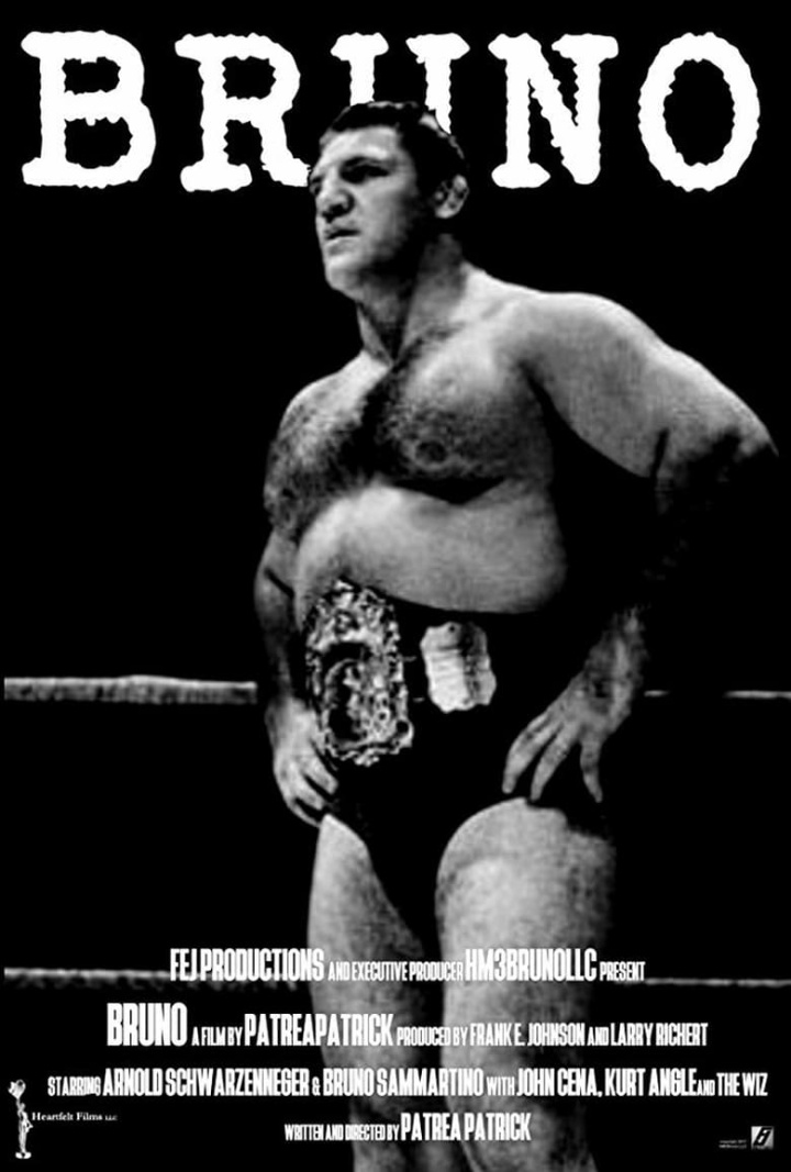 Bruno Sammartino i gruppen Alla filmer hos Mohamad shop (647518)