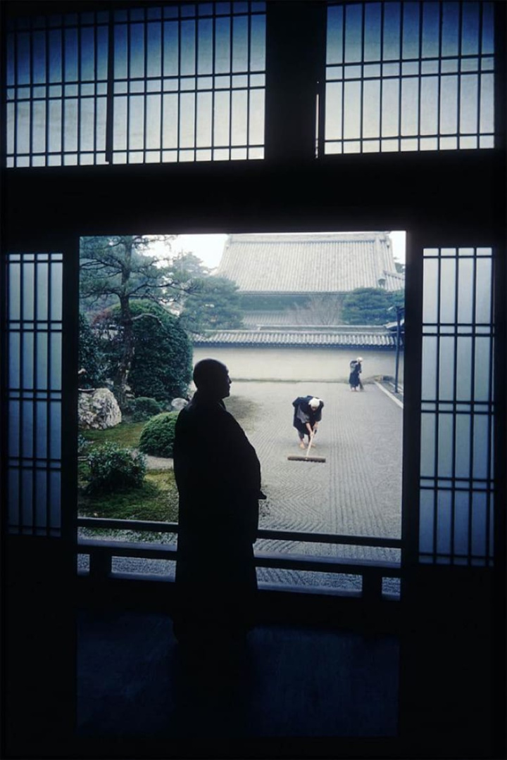 In the World of Zen i gruppen Alla filmer / Documentary hos Mohamad shop (647983)