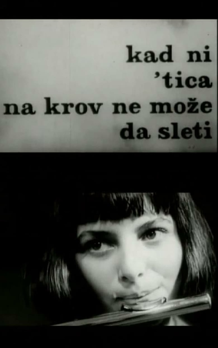 When Not Even a Bird Can Land on a Roof i gruppen Alla filmer / Documentary hos Mohamad shop (648033)