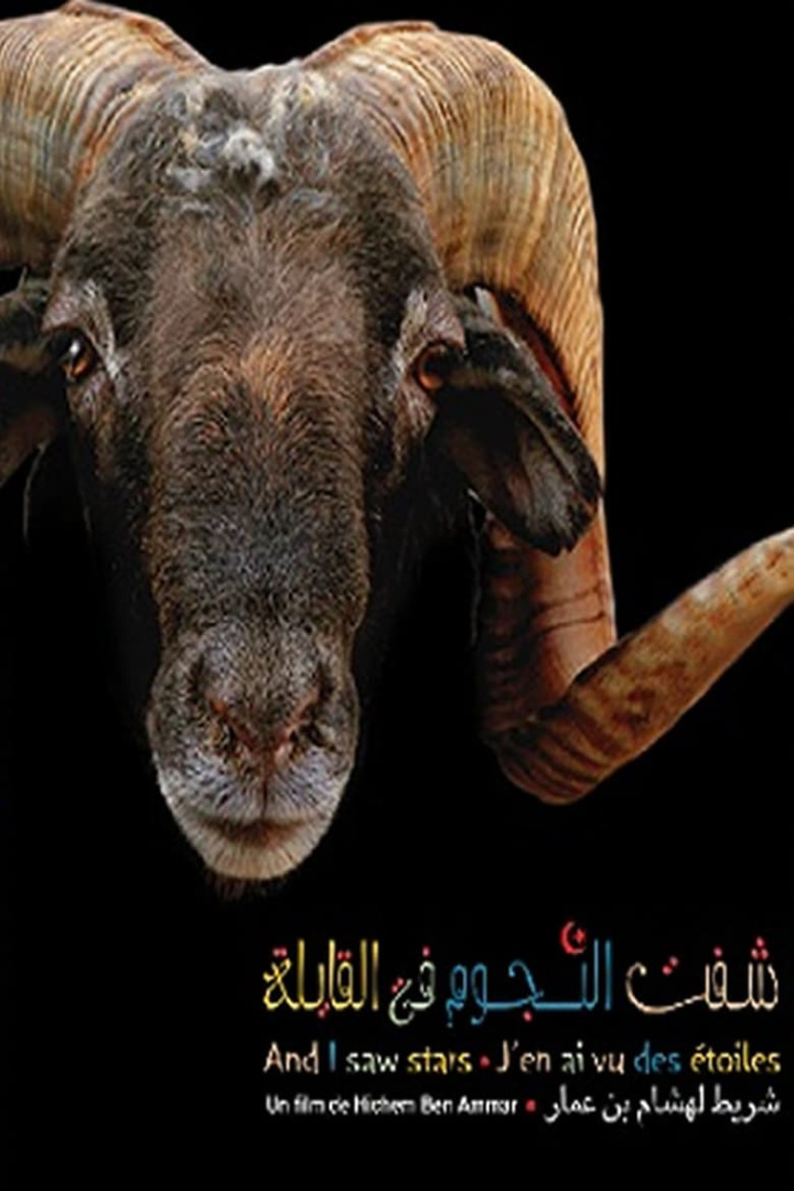 شفت النجوم فالقايلة i gruppen Alla filmer hos Mohamad shop (648808)