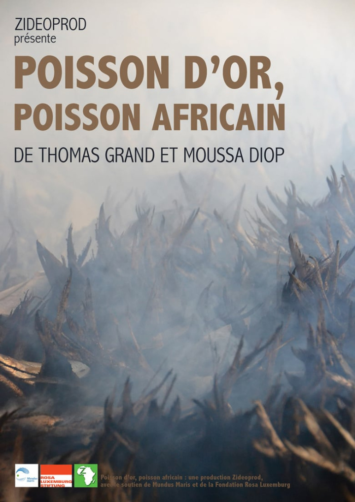 Poisson D\'or, Poisson Africain i gruppen Alla filmer / Documentary hos Mohamad shop (649291)