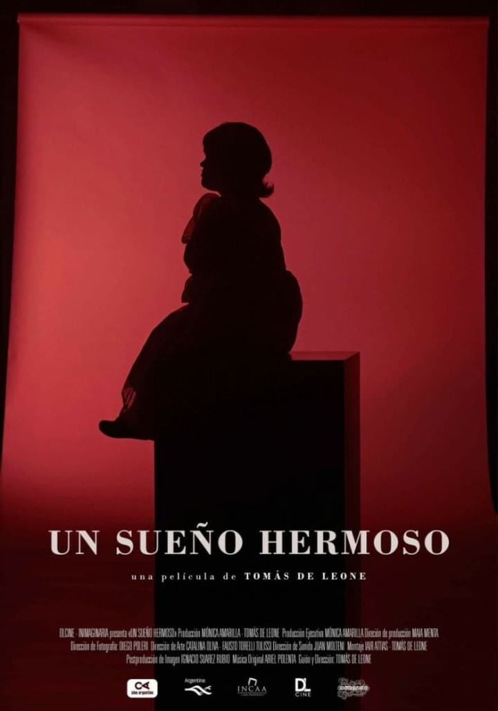 A Beautiful Dream i gruppen Alla filmer / Documentary hos Mohamad shop (649367)