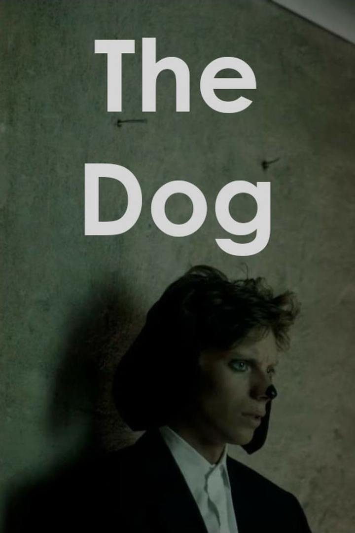 The Dog i gruppen Alla filmer / Drama hos Mohamad shop (649506)