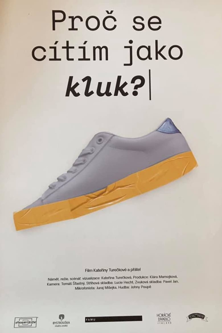 Proč se cítím jako kluk? i gruppen Alla filmer / Documentary hos Mohamad shop (650247)