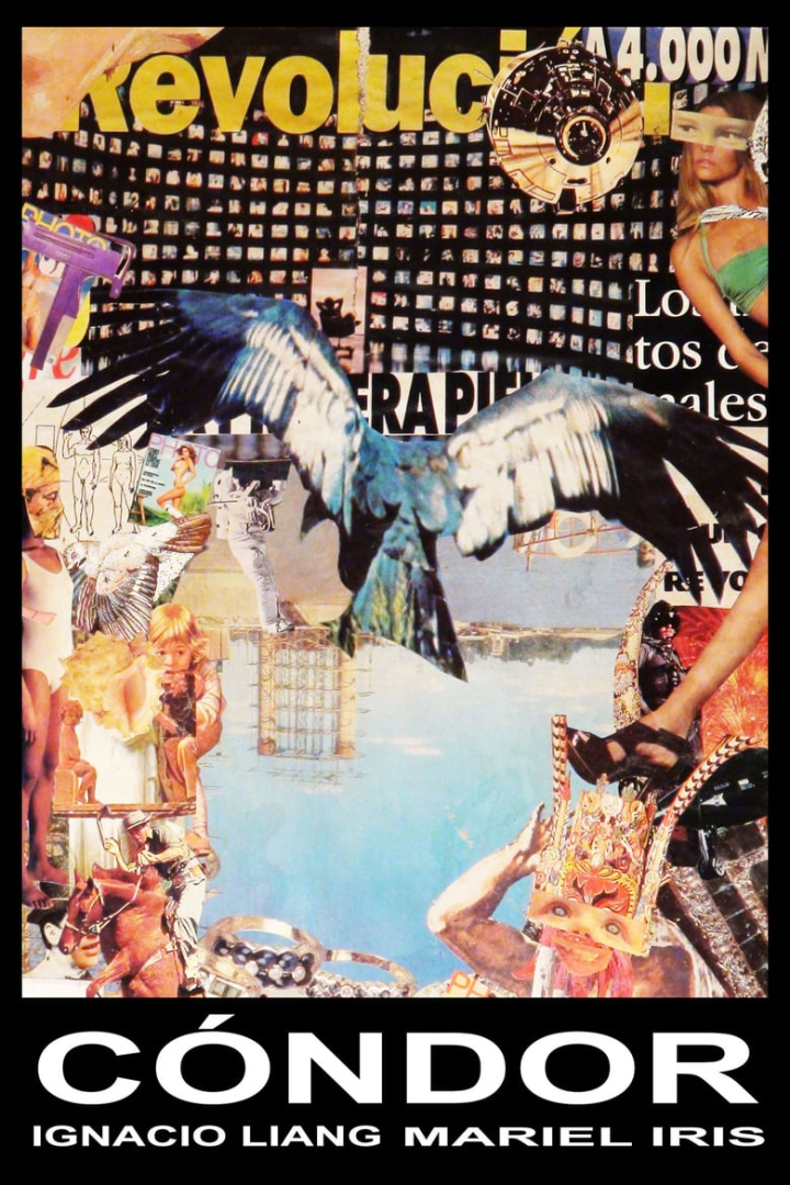 Cóndor i gruppen Alla filmer hos Mohamad shop (650275)