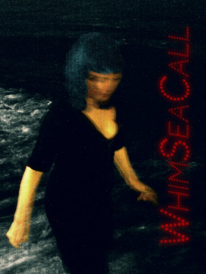 WhimSeaCall - Nocturnal Sea i gruppen Alla filmer / Mystery hos Mohamad shop (650938)