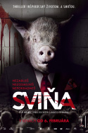 Sviňa