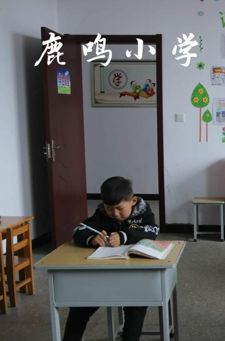 The Voice i gruppen Alla filmer / Documentary hos Mohamad shop (651539)