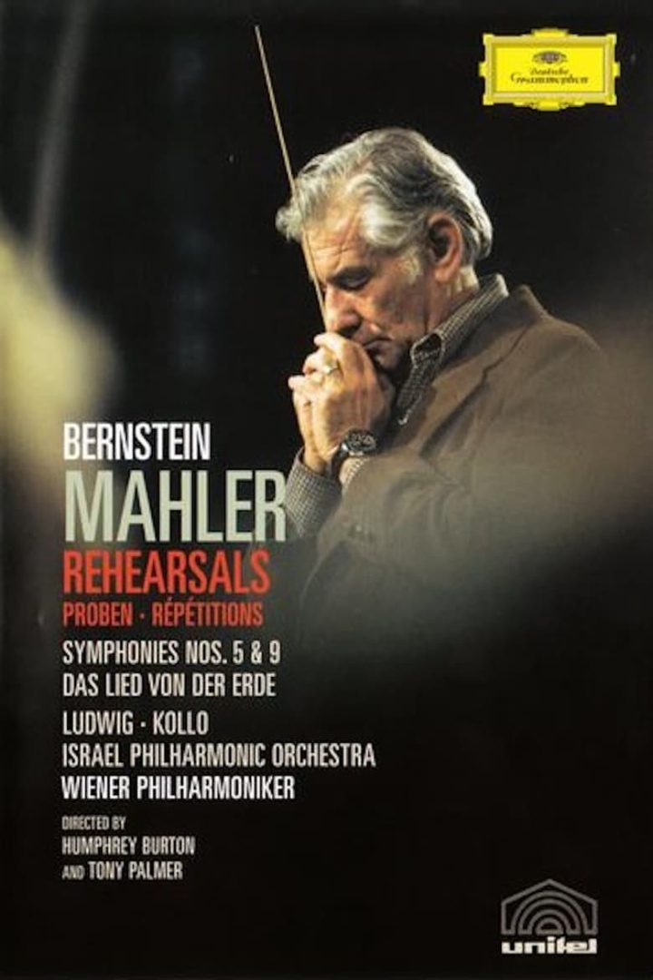 Bernstein Mahler Rehearsal i gruppen Alla filmer hos Mohamad shop (651613)