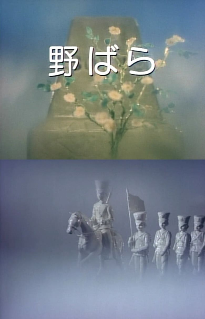 The Wild Rose i gruppen Alla filmer / War hos Mohamad shop (651870)