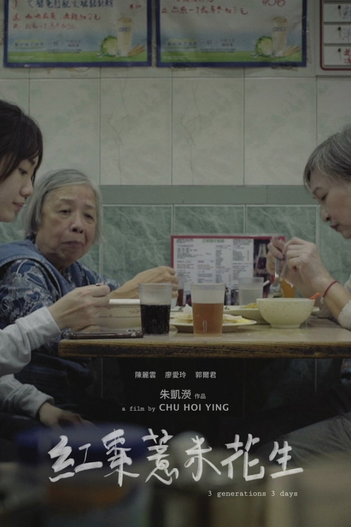3 Generations 3 Days i gruppen Alla filmer hos Mohamad shop (652230)