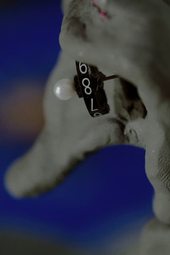 Soma i gruppen Alla filmer hos Mohamad shop (652452)