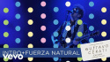 Gustavo Cerati. Fuerza Natural Tour