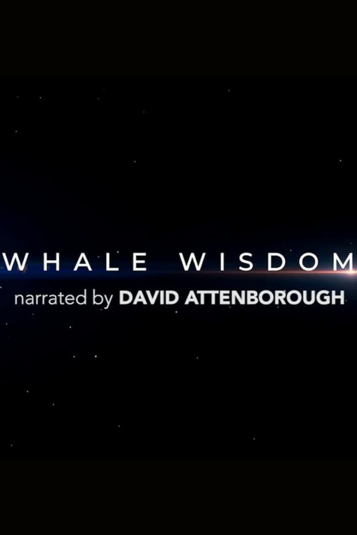 Whale Wisdom i gruppen Alla filmer / Documentary hos Mohamad shop (652876)