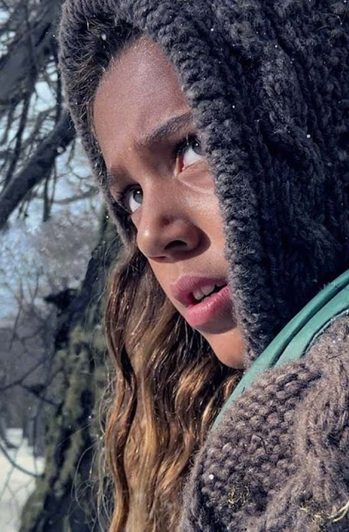 Snowbrawl i gruppen Alla filmer / Action hos Mohamad shop (653125)