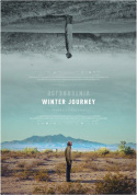 Winter Journey