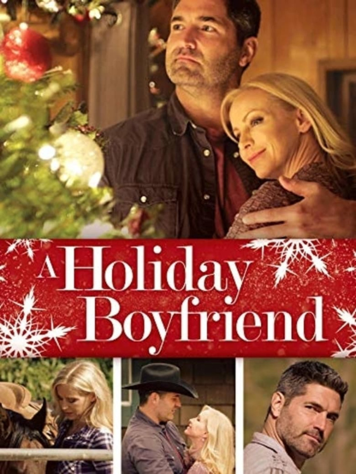 A Holiday Boyfriend i gruppen Alla filmer hos Mohamad shop (653402)