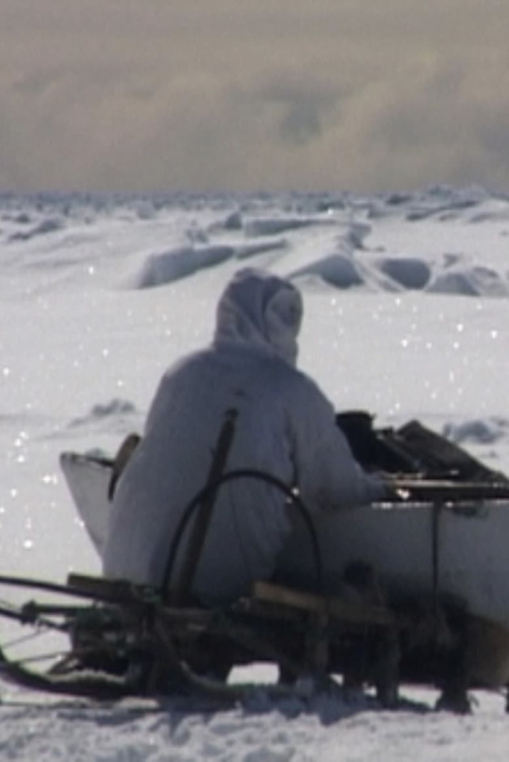 Seal Hunt i gruppen Alla filmer hos Mohamad shop (653510)