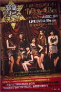 T-ARA Japan Tour 2013 -Treasure Box- Live In Budokan