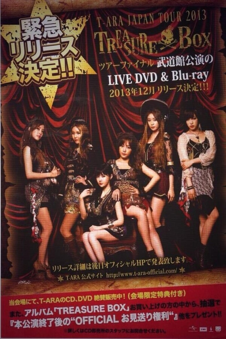 T-ARA Japan Tour 2013 -Treasure Box- Live In Budokan i gruppen Alla filmer / Music hos Mohamad shop (653636)