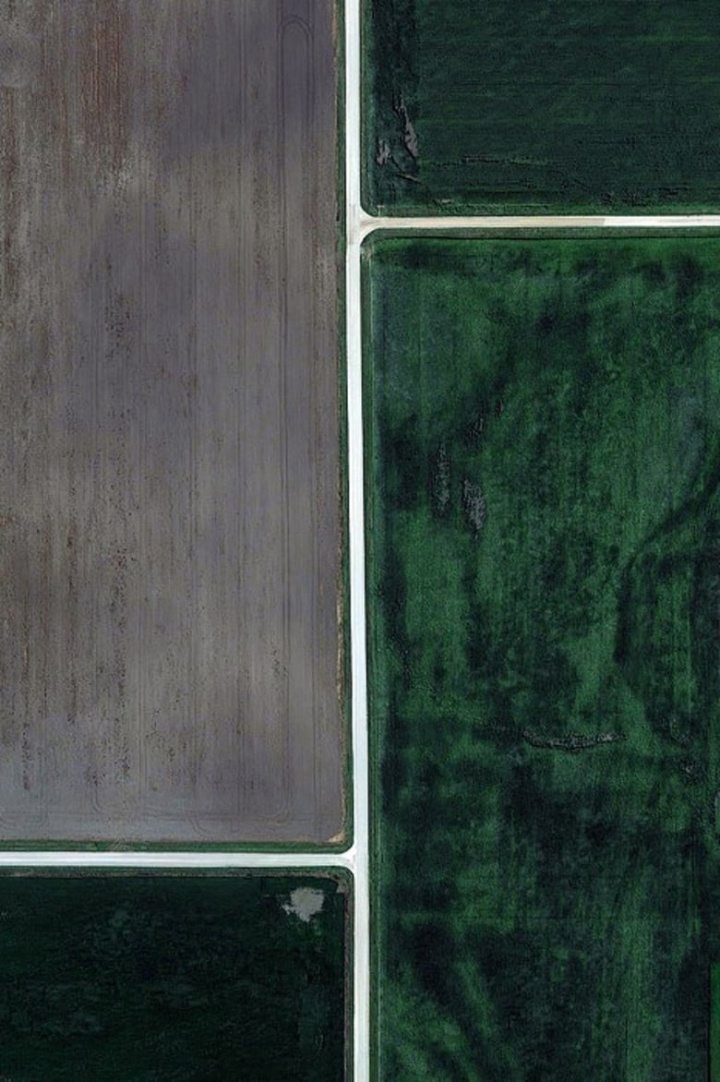 Grid Corrections i gruppen Alla filmer / Animation hos Mohamad shop (653779)