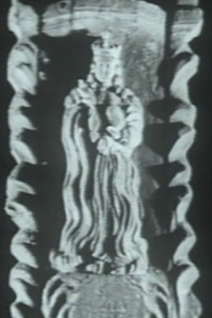 Vincas Svirskis i gruppen Alla filmer / Documentary hos Mohamad shop (654692)