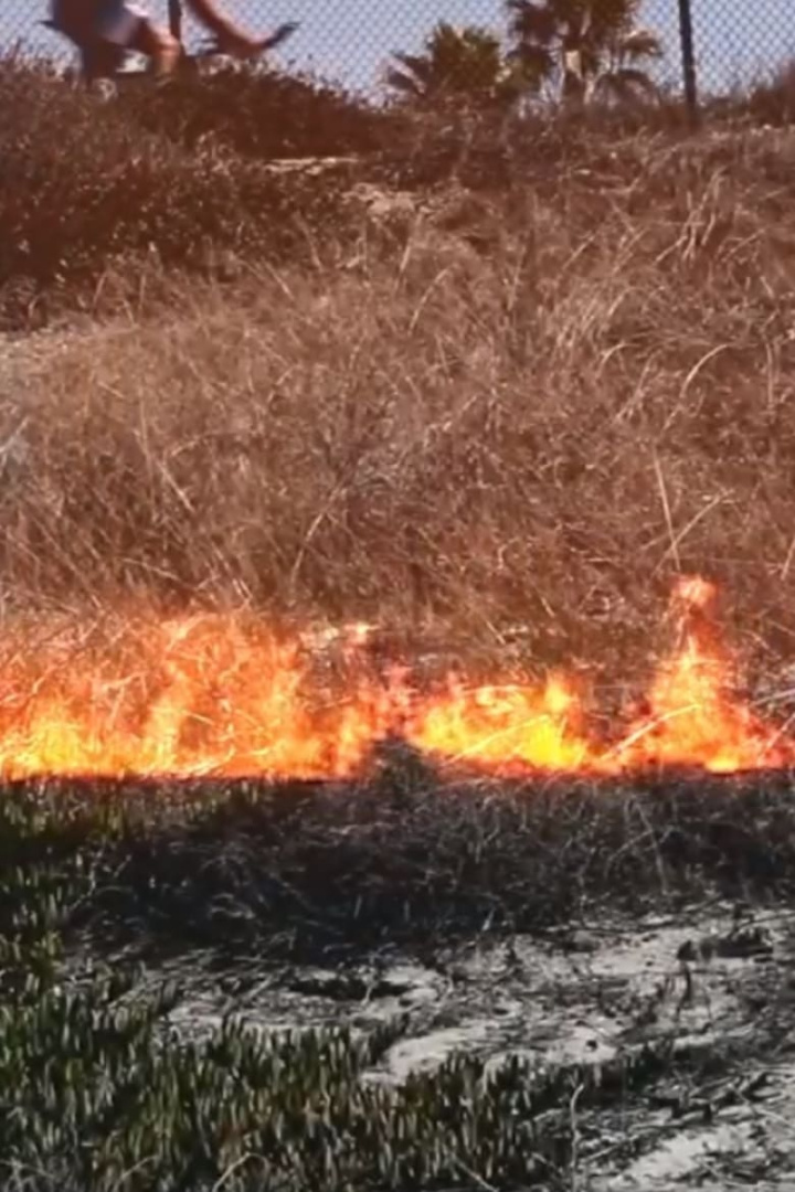 Hi or Coughing i gruppen Alla filmer / Horror hos Mohamad shop (655046)