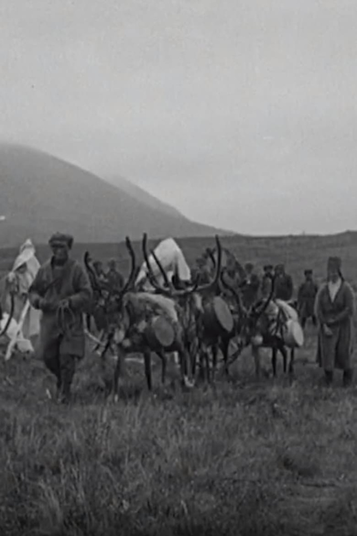 I fjällfolkets land : Dagar i Lappland i gruppen Alla filmer / Documentary hos Mohamad shop (655061)