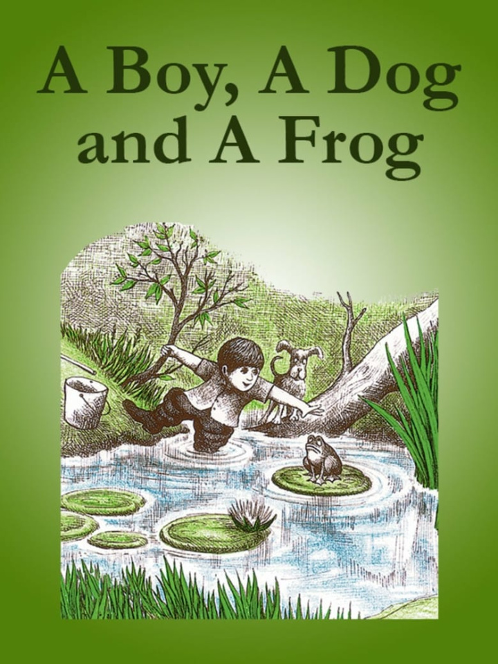 A Boy, a Dog, and a Frog i gruppen Alla filmer hos Mohamad shop (656119)