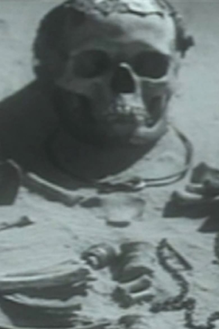 From ancient times i gruppen Alla filmer / Documentary hos Mohamad shop (656407)