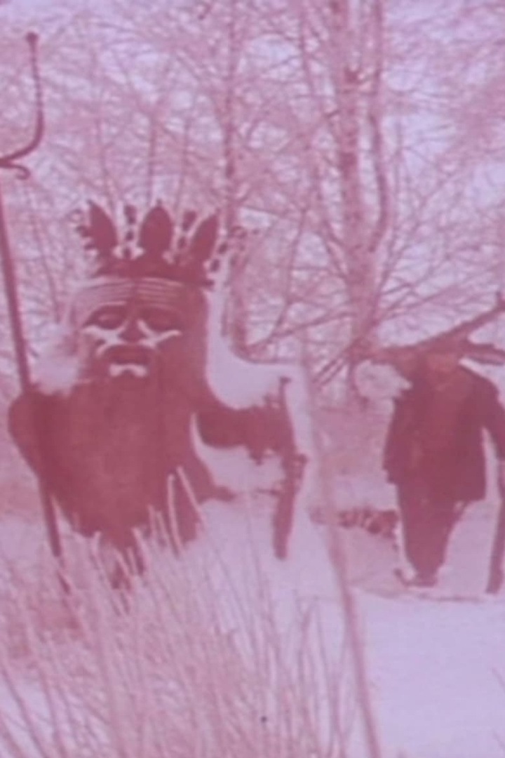 We’re out of the woods and songs i gruppen Alla filmer / Documentary hos Mohamad shop (656409)