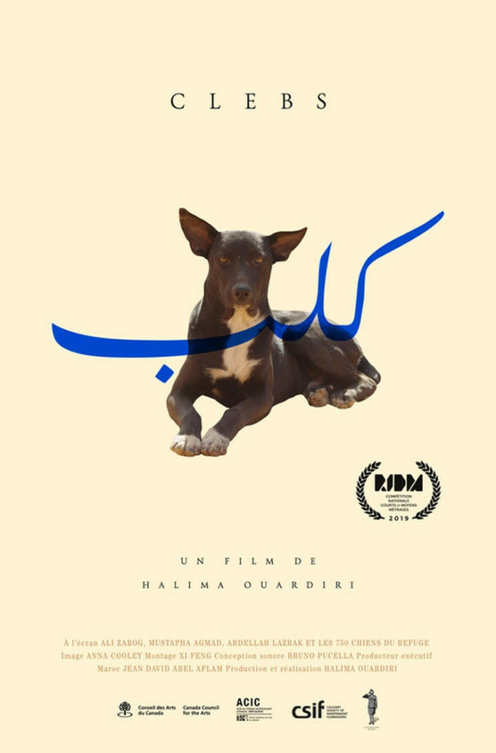 Clebs i gruppen Alla filmer hos Mohamad shop (656477)